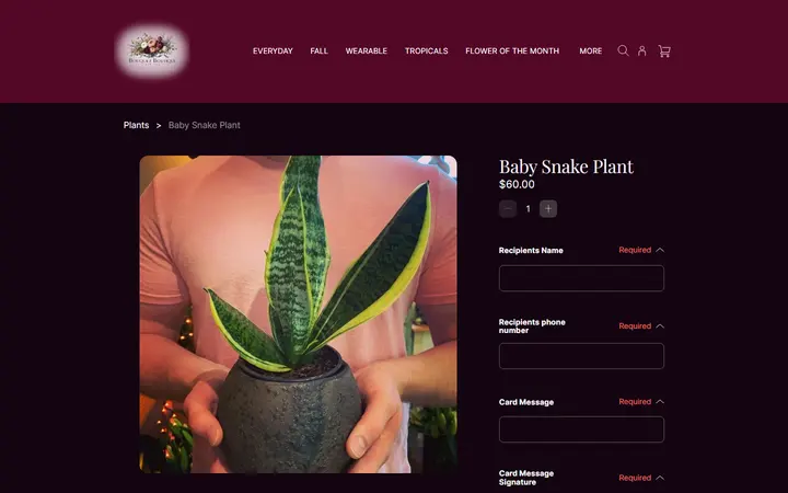 Website page titled Baby Snake Plant | Bouquet Boutique, Inc.