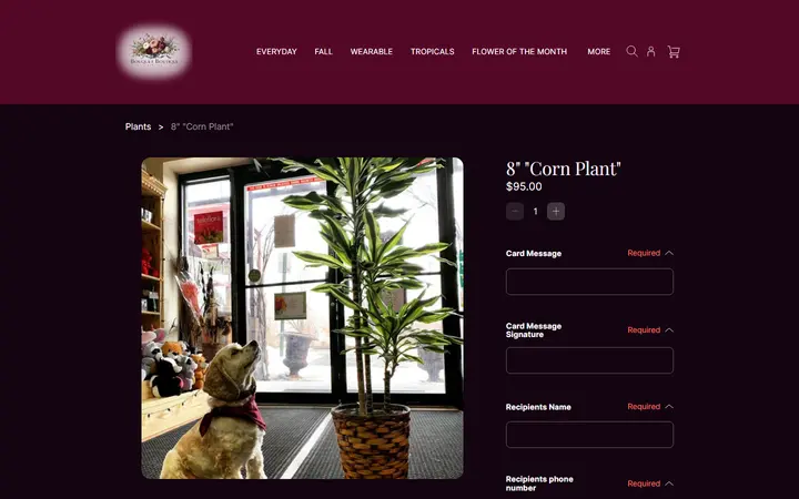 Website page titled 8" "Corn Plant" | Bouquet Boutique, Inc.