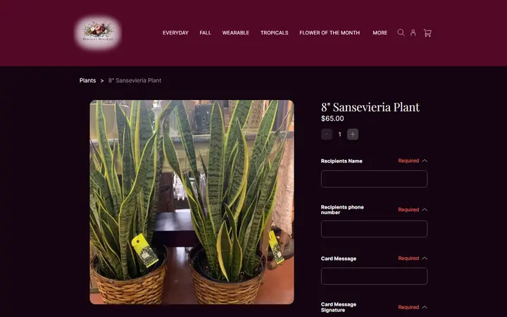 Website page titled 8" Sansevieria Plant | Bouquet Boutique, Inc.