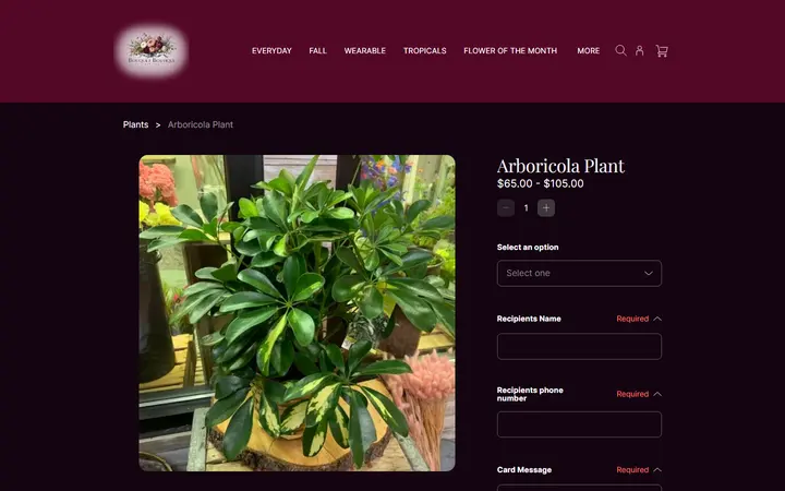 Website page titled Arboricola Plant | Bouquet Boutique, Inc.