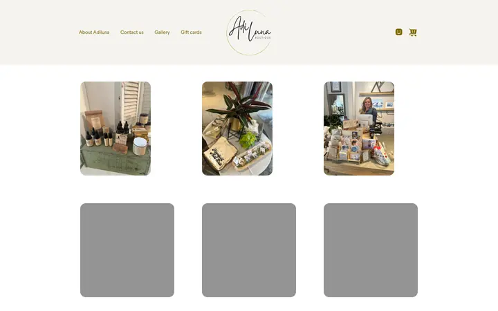 Preview of Adiluna Boutique website