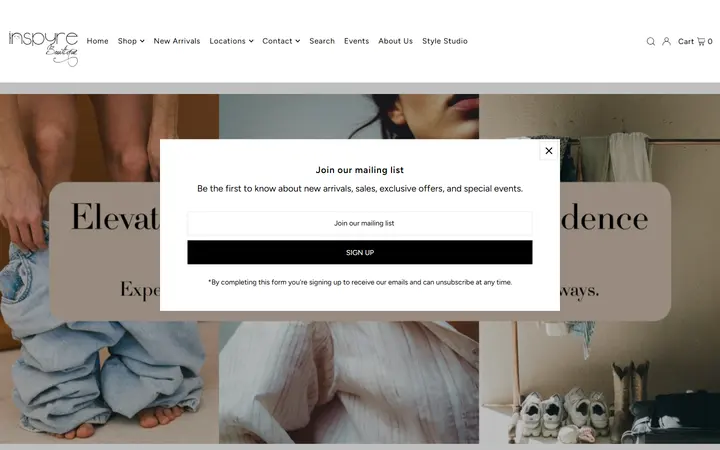 Preview of Inspyre Boutique Tennyson website