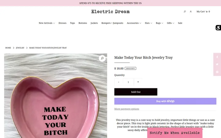Website page titled Make Today Your Bitch Jewelry Tray – Electric Dream Boutique