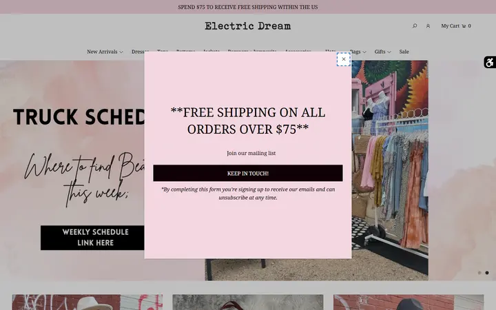 Preview of Electric Dream Boutique | Women's Clothing | Vintage | Gifts | Dresses | Accessories website
