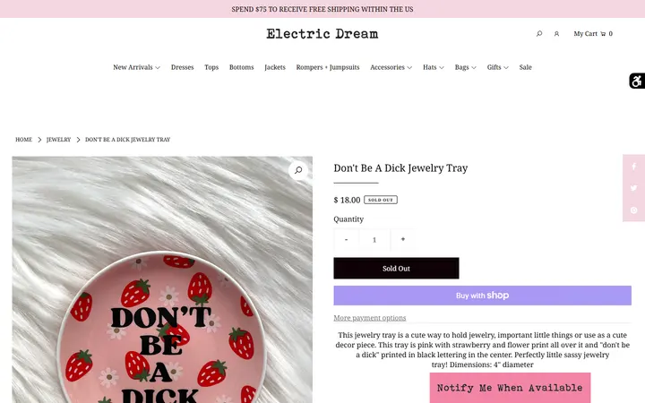 Website page titled Don't Be A Dick Jewelry Tray – Electric Dream Boutique