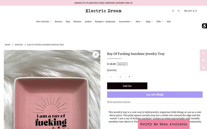 Website page titled Ray Of Fucking Sunshine Jewelry Tray – Electric Dream Boutique