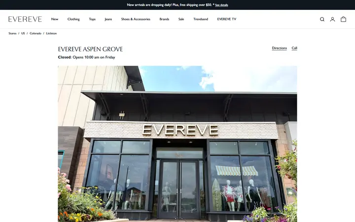 Preview of EVEREVE website