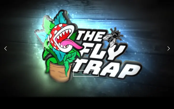 Preview of The Flytrap Clothing Boutique website