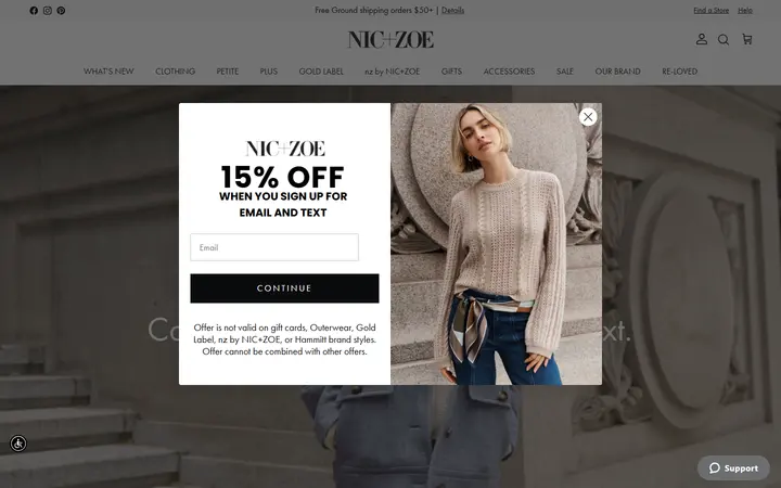 Preview of NIC+ZOE website