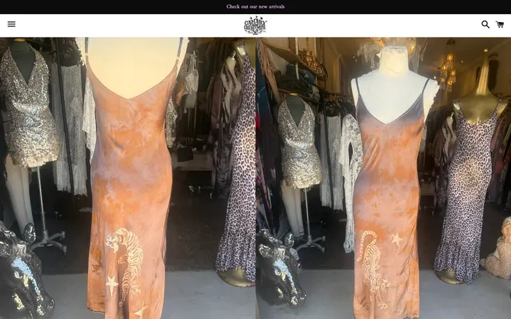 Website page titled Tigre's satin slip dress – Canary In A Clothesmine
