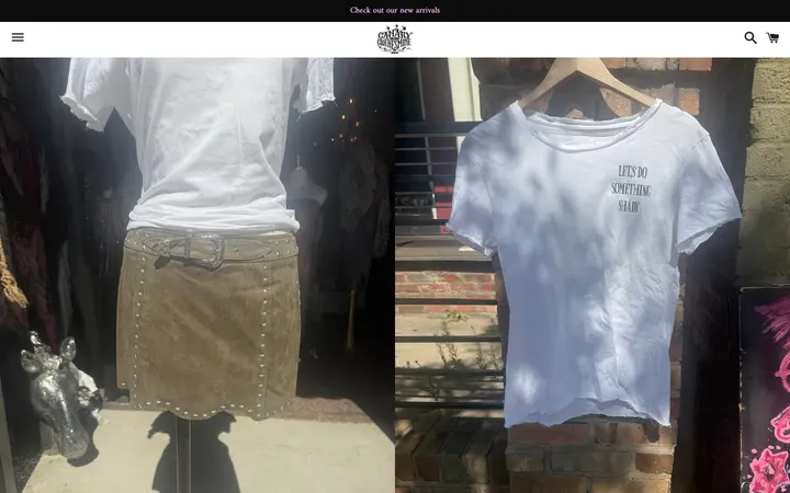 Website page titled Star studded Mini – Canary In A Clothesmine