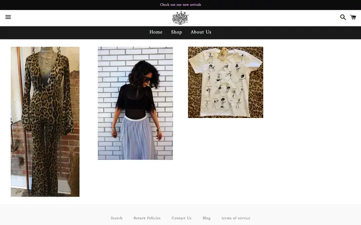 Website page titled Steals & Deals – Canary In A Clothesmine